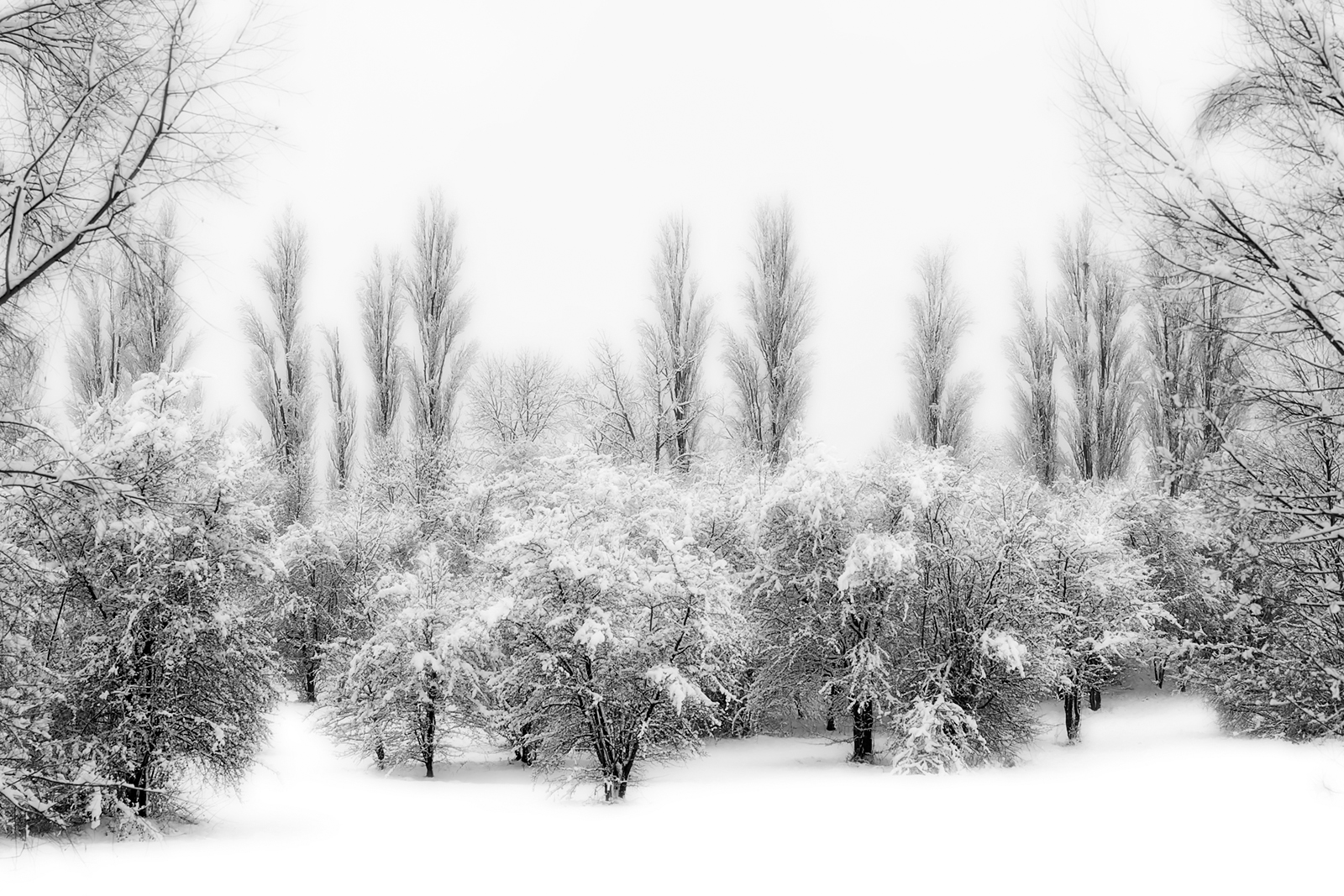 Winter can be wonderful