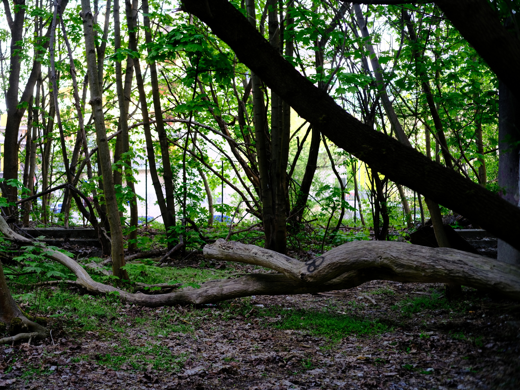 unnamed