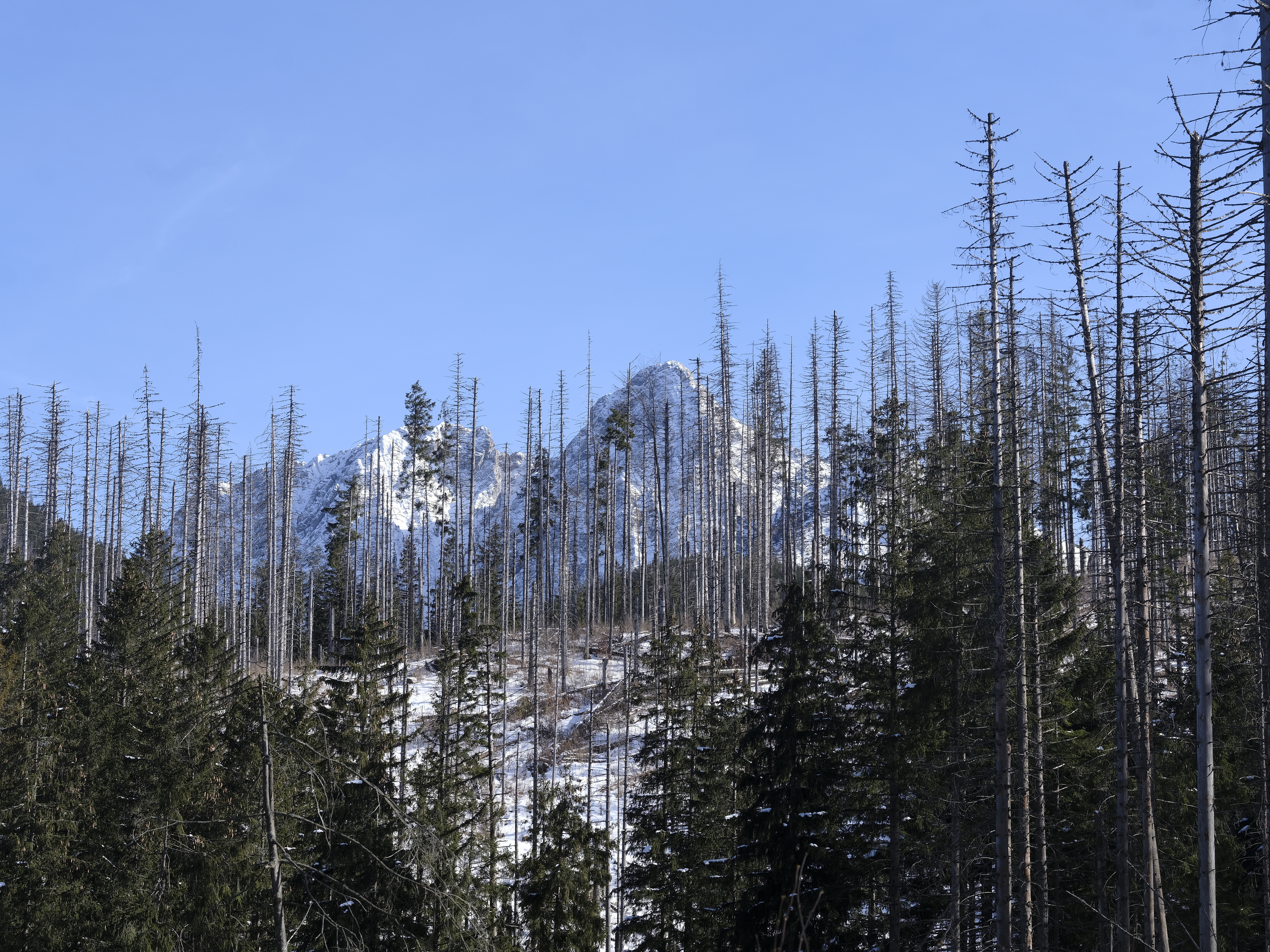 The Tatra Mountain in Poland
