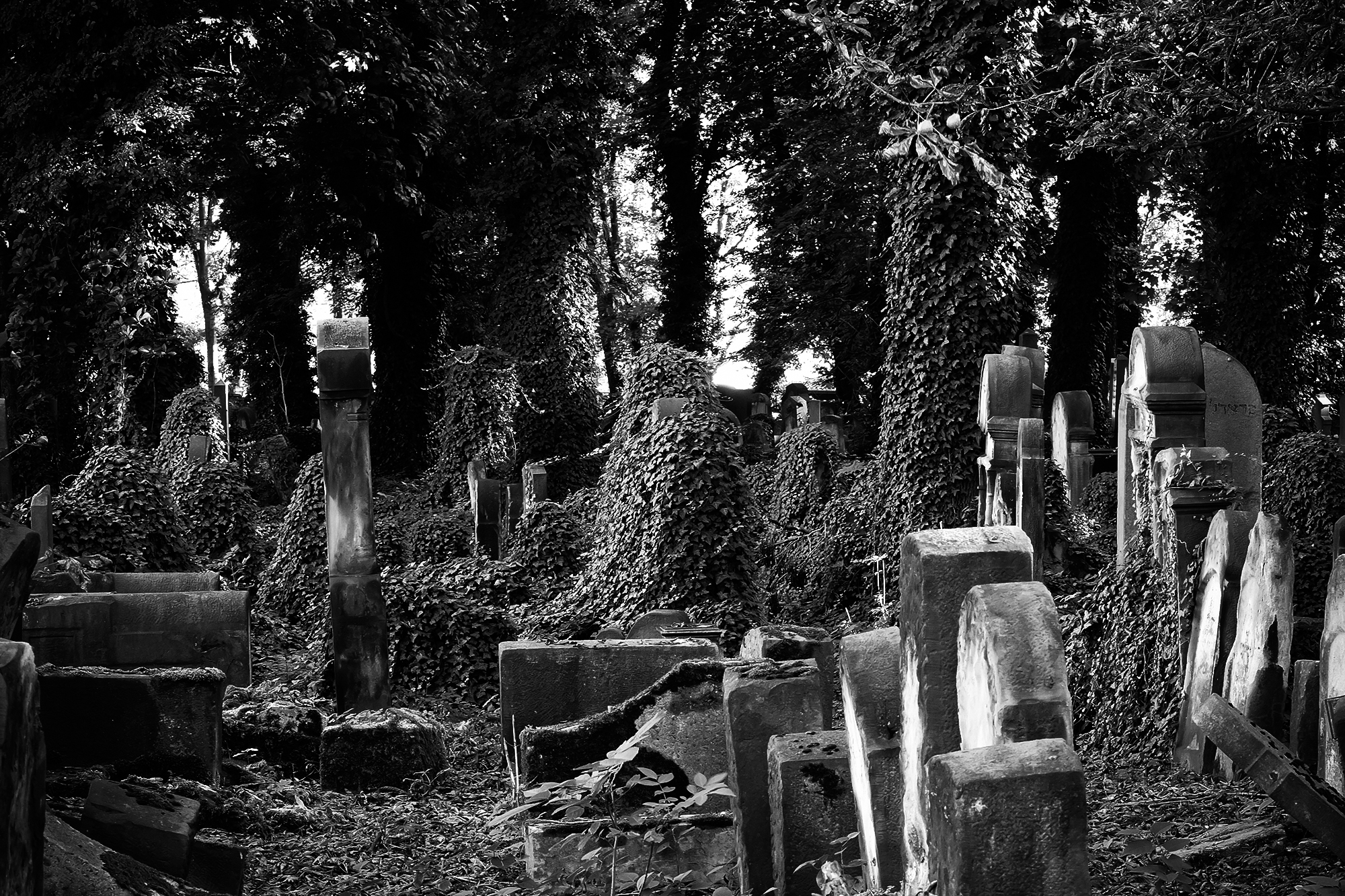 Old Jewish Cemetery