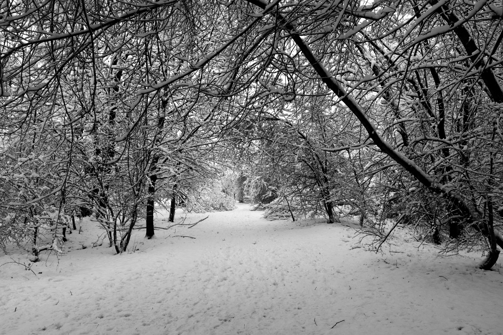 unnamed