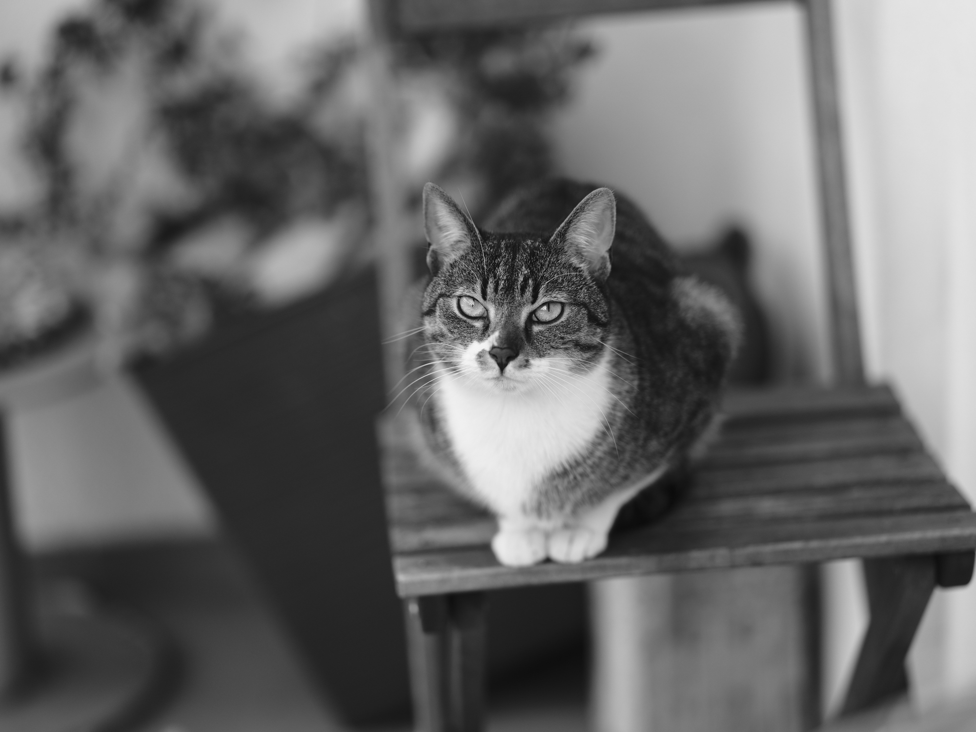 Sitting Brutik