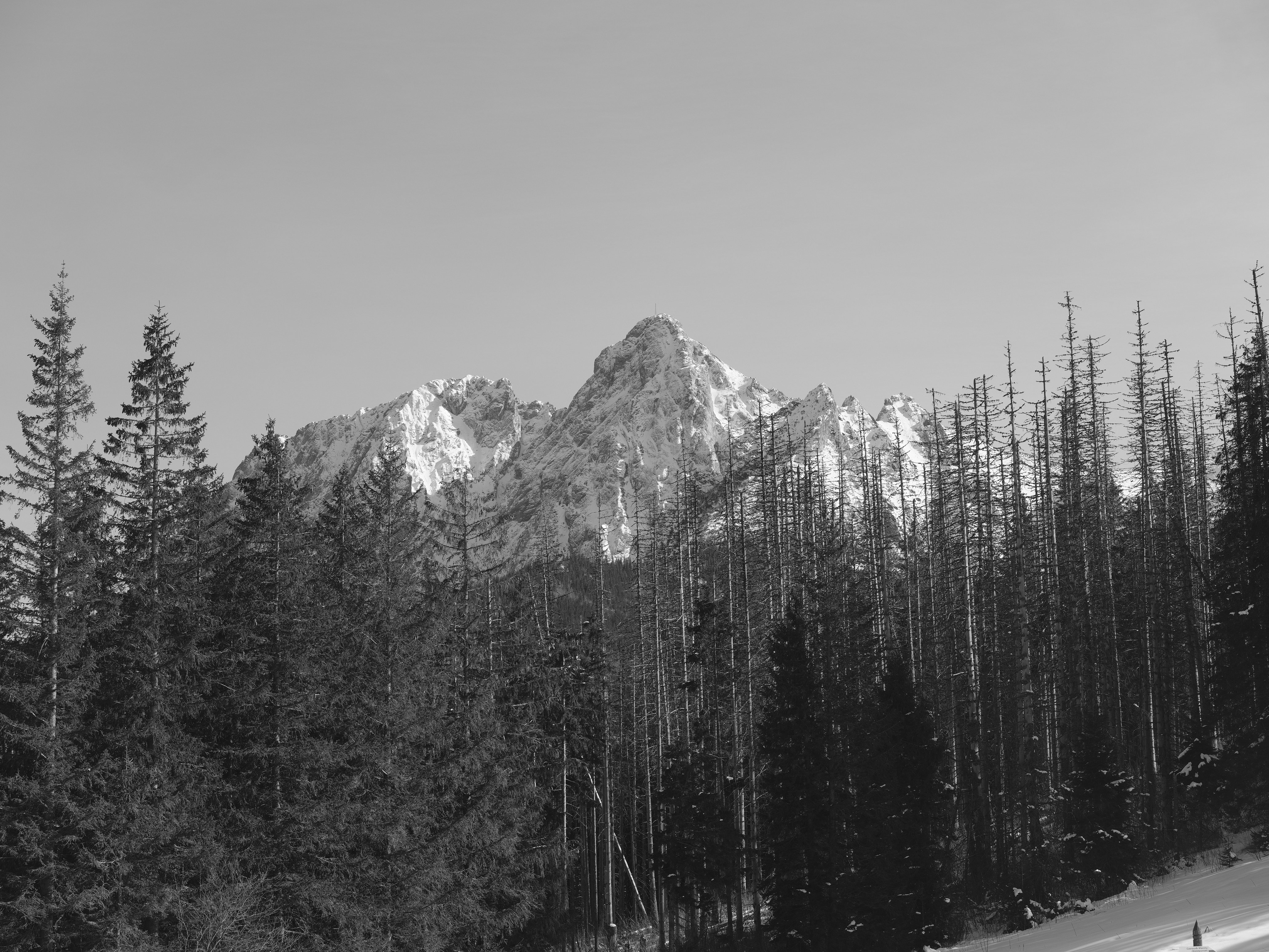 The Tatra Mountain in Poland