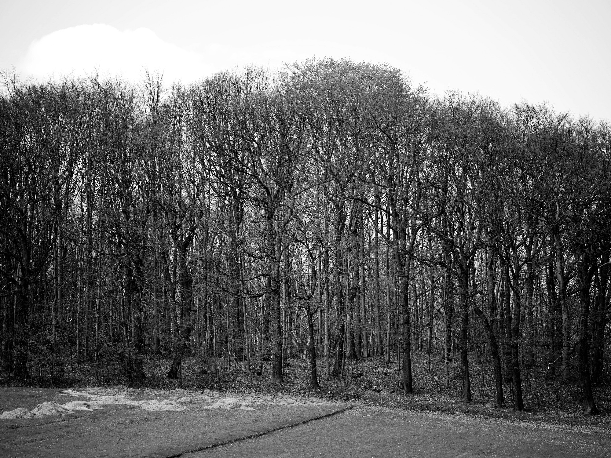unnamed