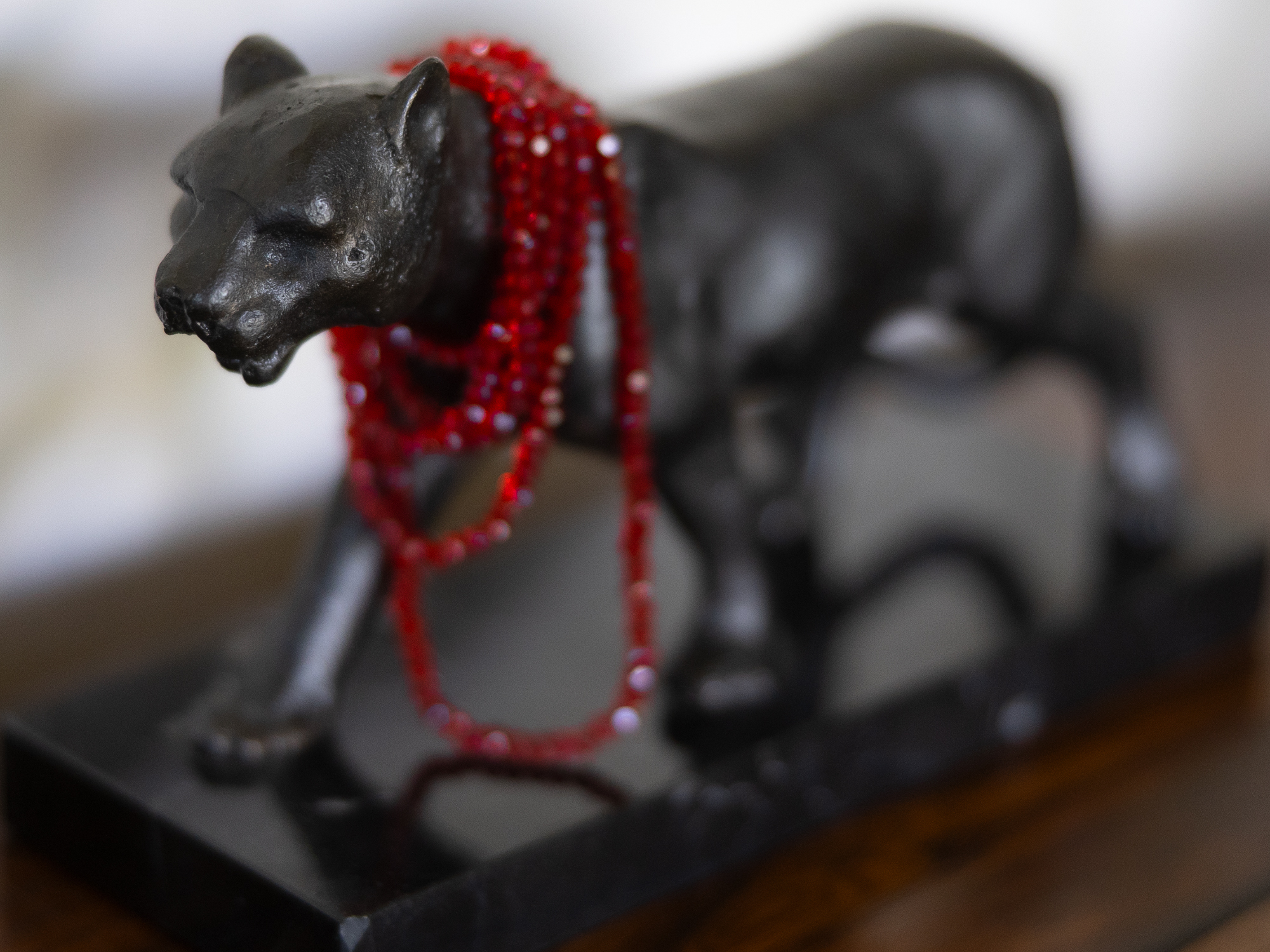 Ruby necklace cat