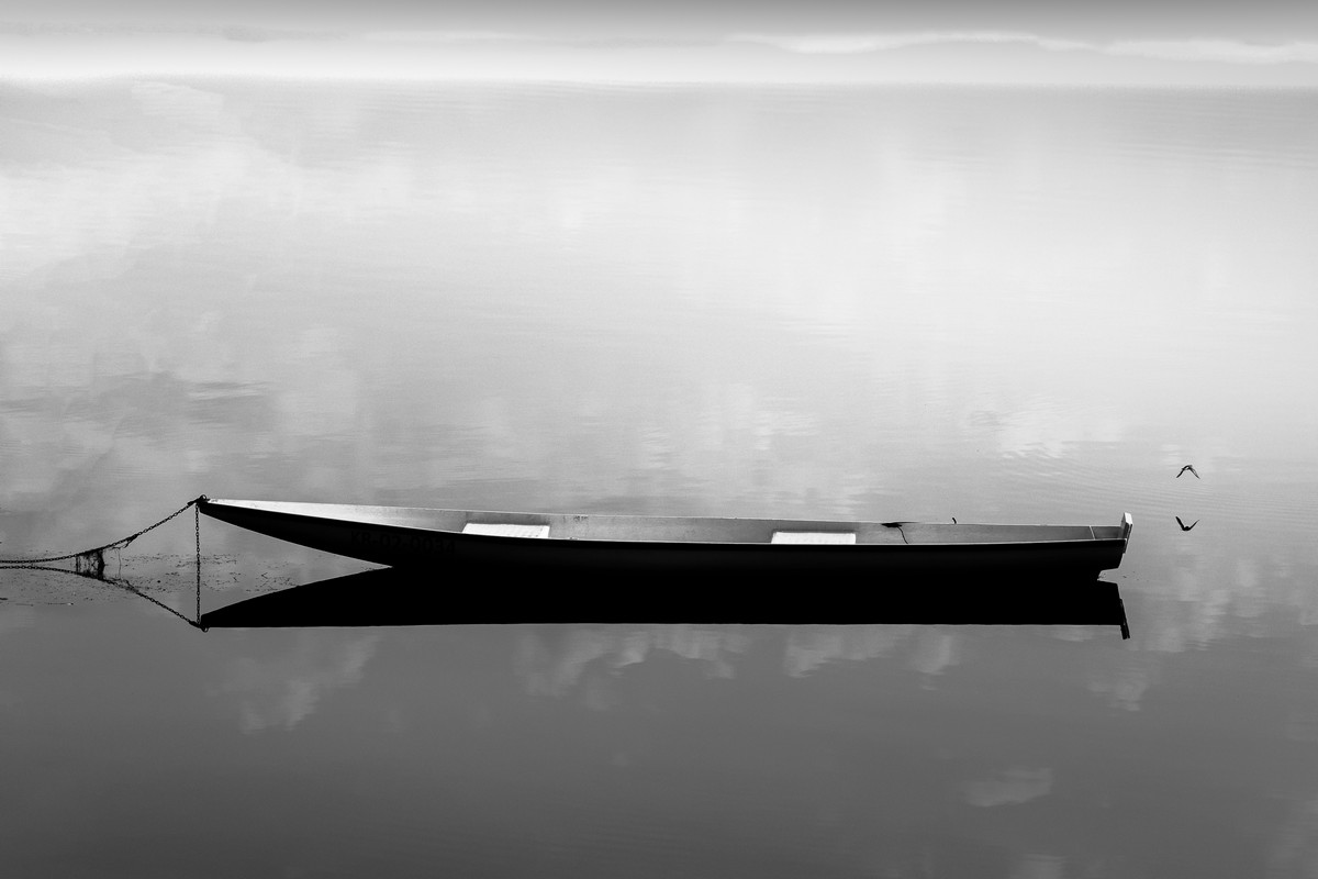 The silent flight of a bird.