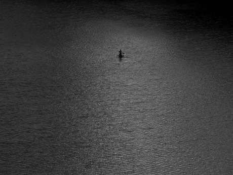Stand-up paddle