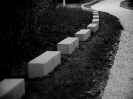 path and bricks