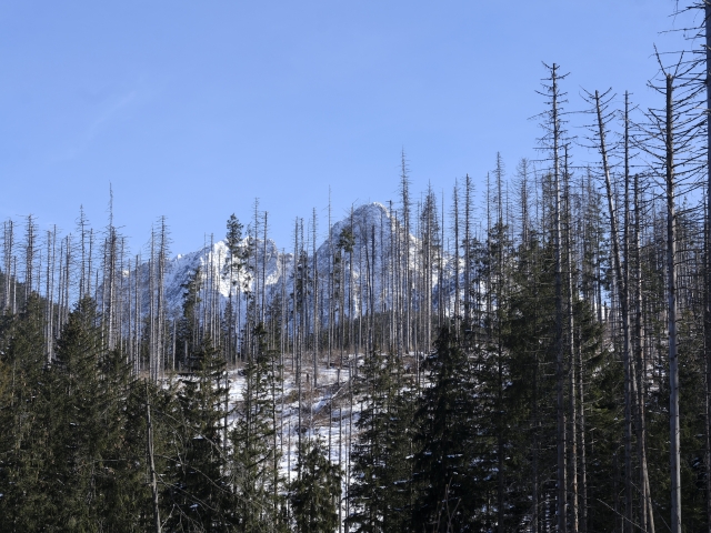 The Tatra Mountain in Poland
