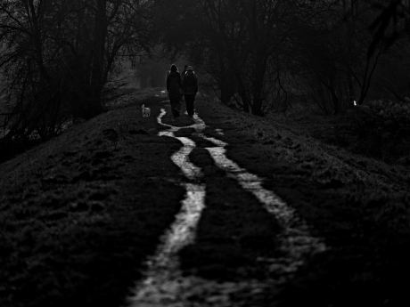A WALK IN THE RAIN