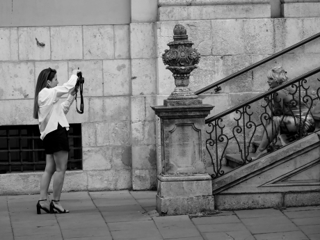 A photoshot
