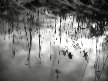 Water mirror