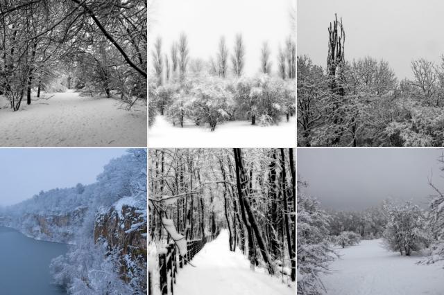 winter